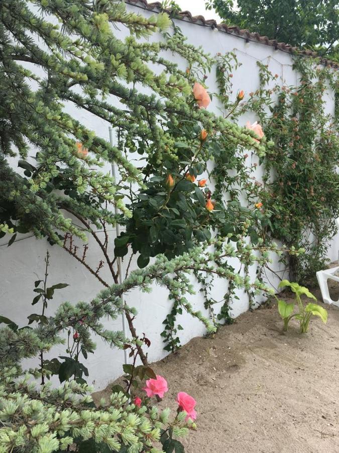 מלון Două Mai Casa Stavros מראה חיצוני תמונה