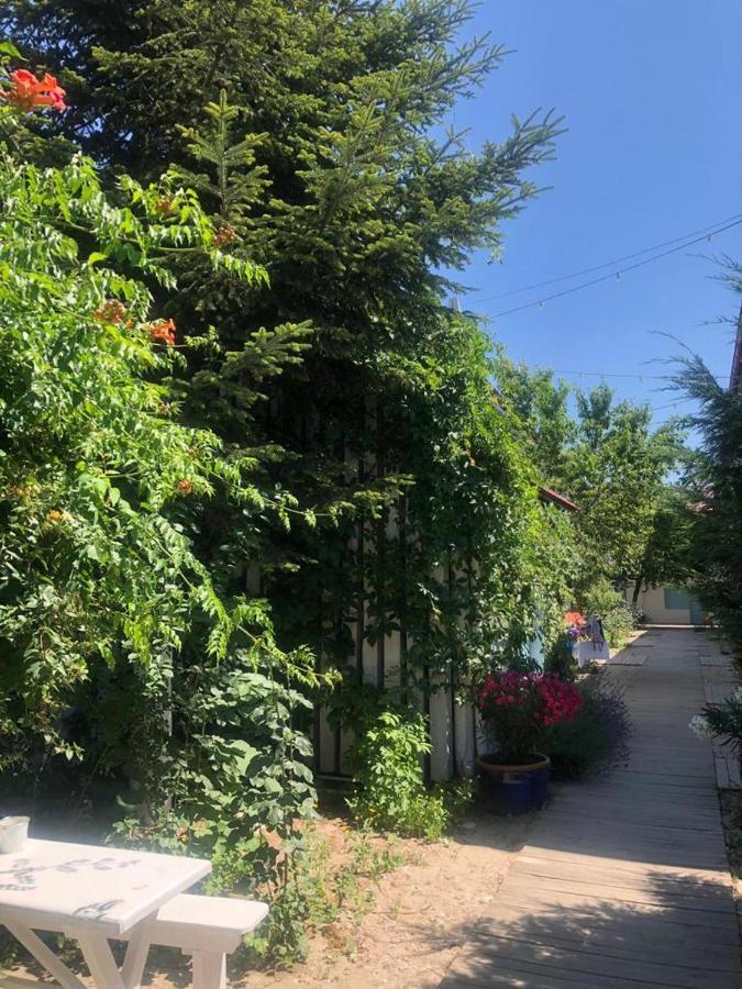 מלון Două Mai Casa Stavros מראה חיצוני תמונה